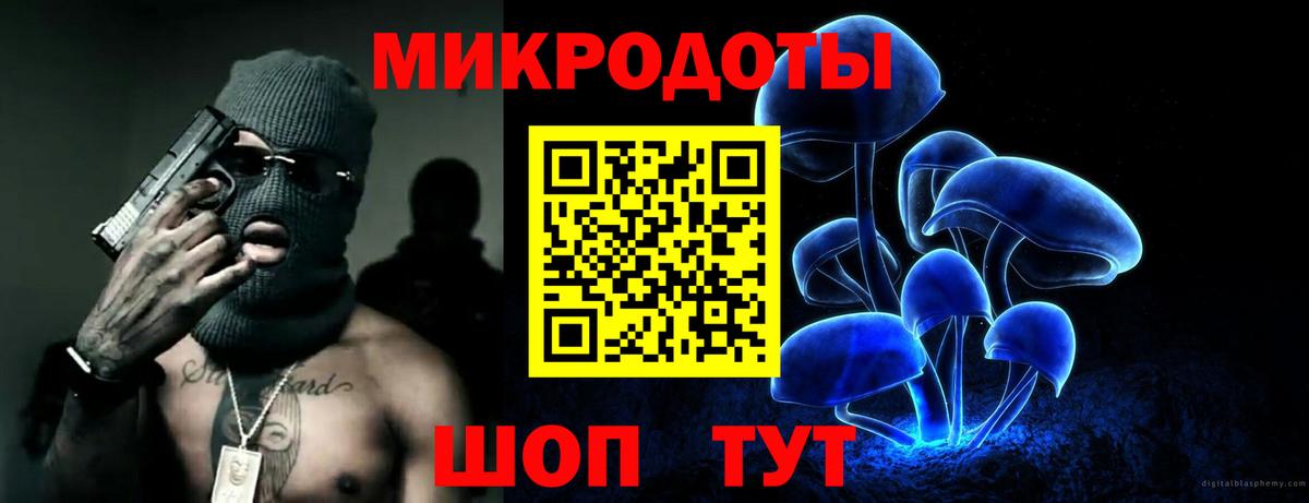 Галлюциногенные грибы Psilocybine cubensis Орехово-Зуево