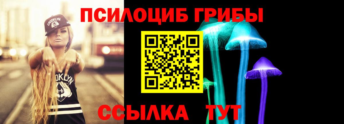 Галлюциногенные грибы GOLDEN TEACHER  Галлюциногенные грибы MAGIC MUSHROOMS  Орехово-Зуево  Вход с VPN 