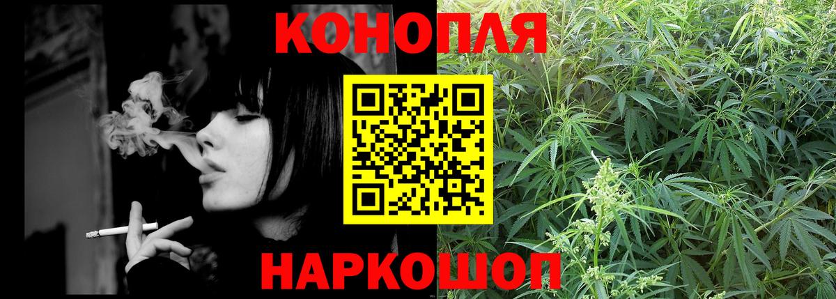 Каннабис ГИДРОПОН Орехово-Зуево
